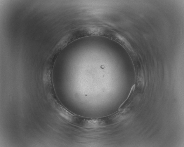 X0000075860473200609291552