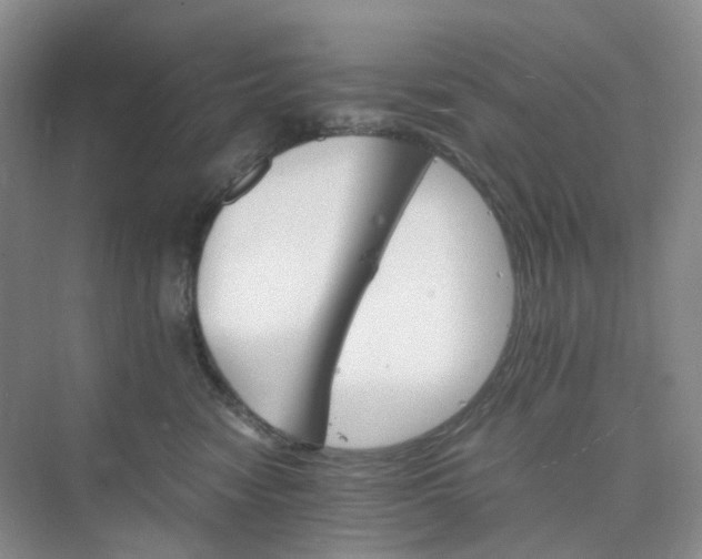 X0000075860474200609291552