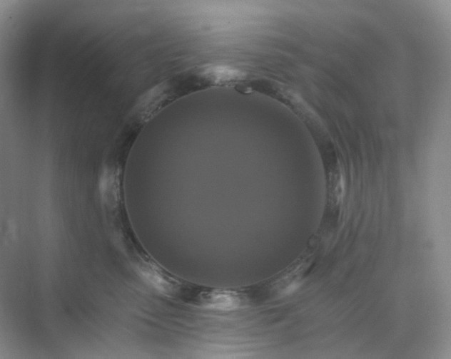 X0000075860475200609291552