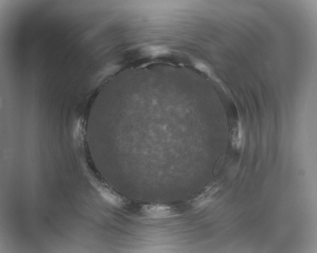 X0000075860476200609291552