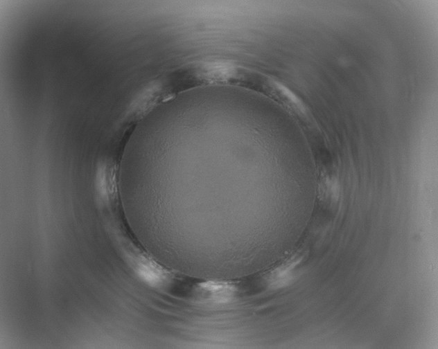 X0000075860477200609291552