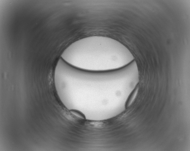 X0000075860478200609291552