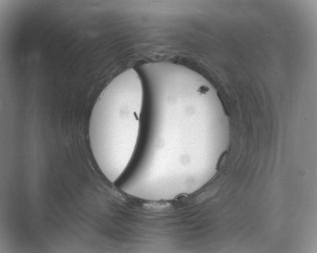 X0000075860480200609291553