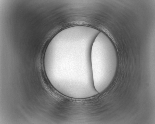 X0000075860482200609291552