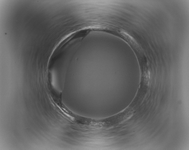 X0000075860484200609291552