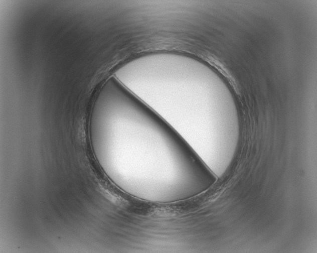 X0000075860489200609291552