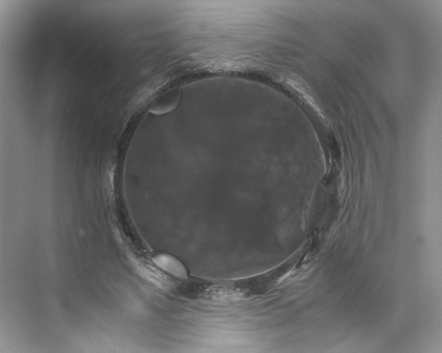 X0000075860491200609291552