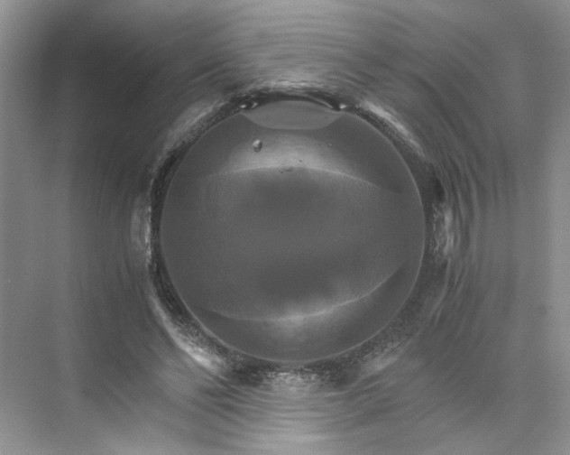 X0000075860494200609291551