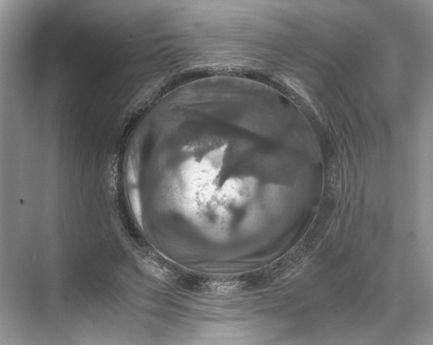 X0000075860495200609291551