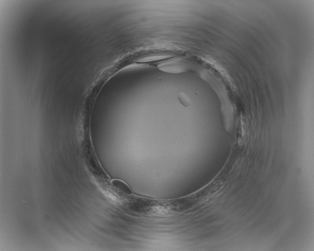 X0000075860496200609291551