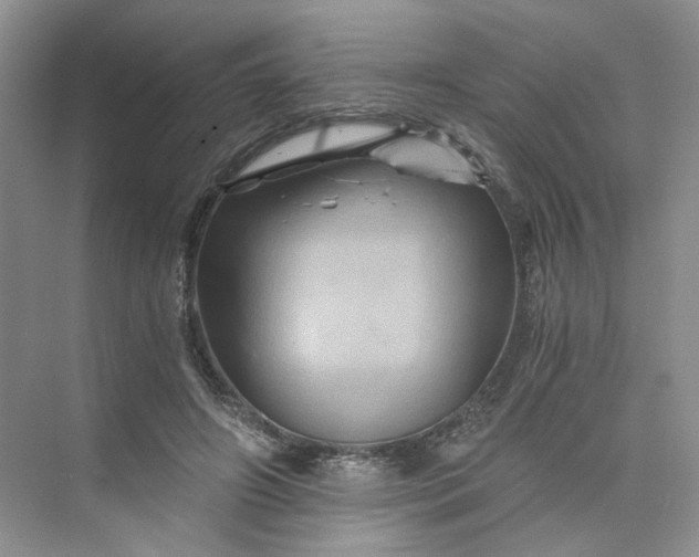 X0000075860498200609291551