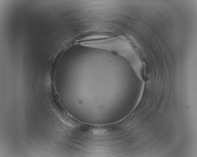 X0000075860500200609291551