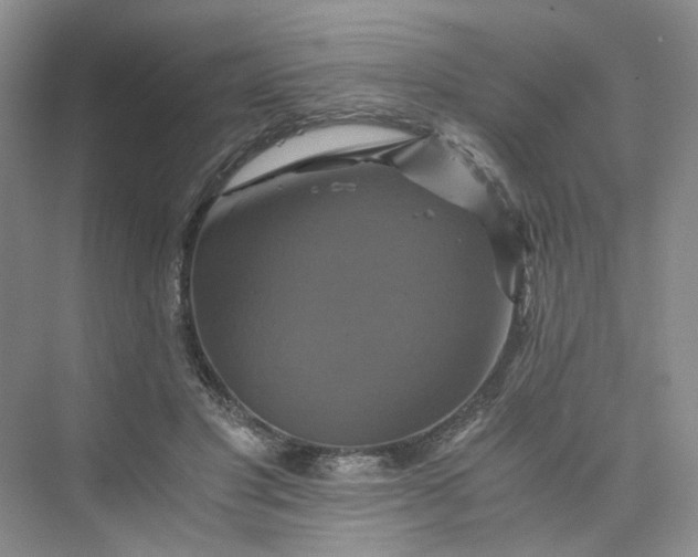 X0000075860501200609291551