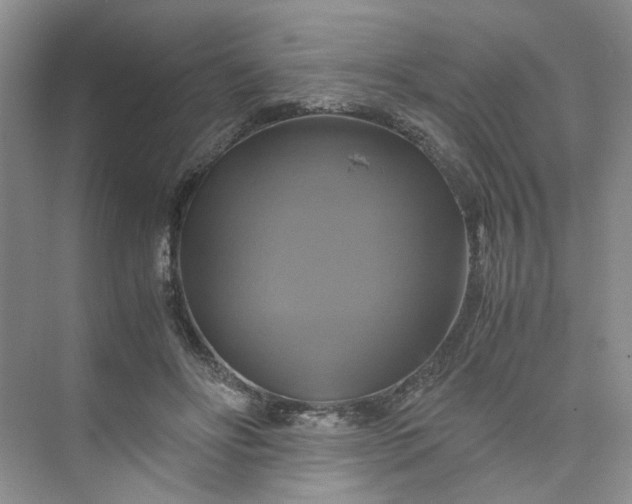 X0000075860502200609291551