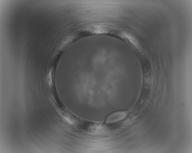 X0000075860503200609291551