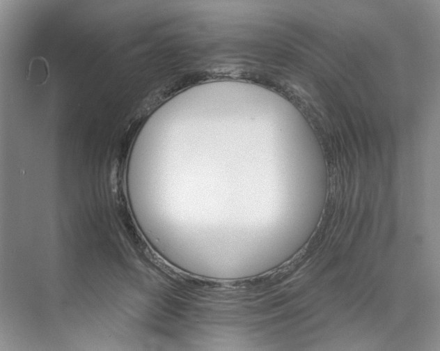 X0000075860504200609291551