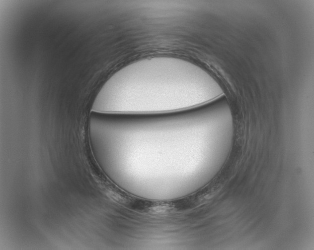 X0000075860505200609291551