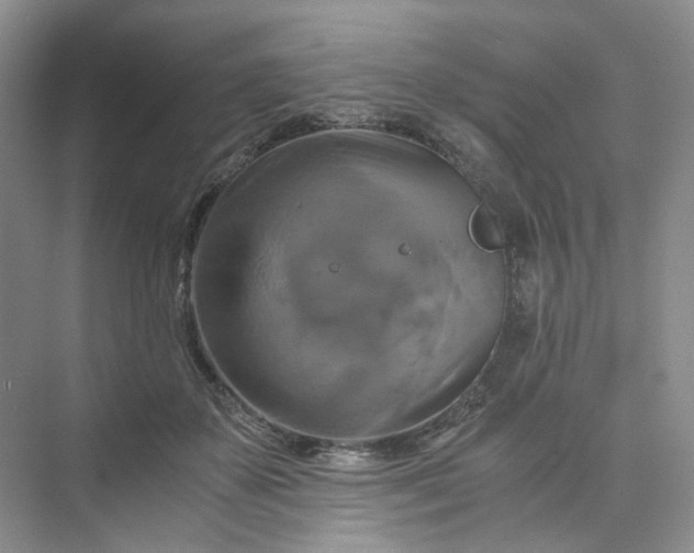 X0000075860507200609291551