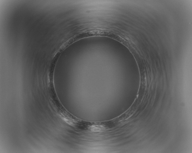 X0000075860508200609291551