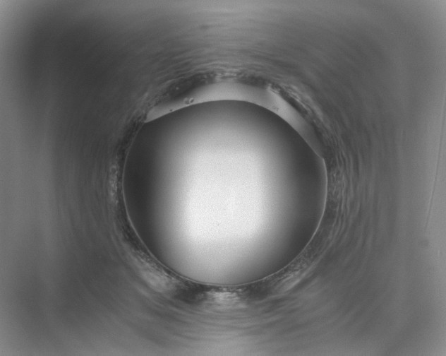 X0000075860509200609291551