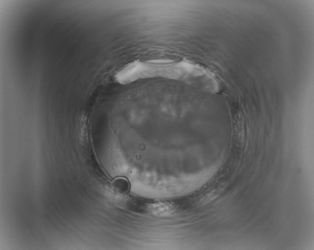 X0000075860511200609291551