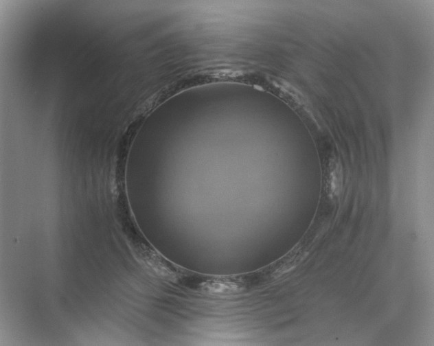 X0000075860512200609291551