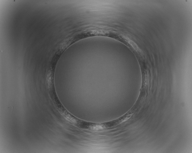 X0000075860513200609291551