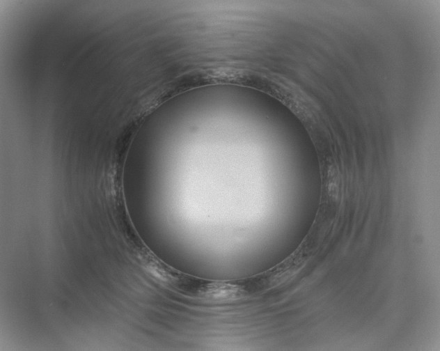 X0000075860514200609291551