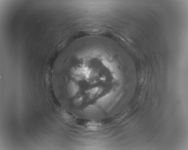 X0000075860515200609291551