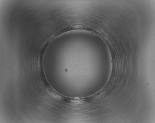 X0000075860516200609291551