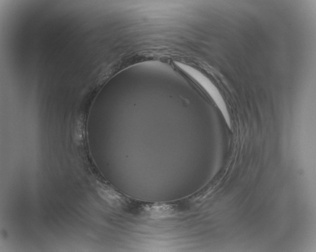 X0000075860517200609291551