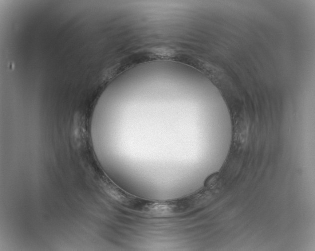 X0000075860518200609291551