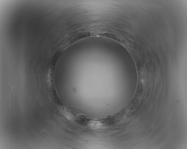 X0000075860519200609291551