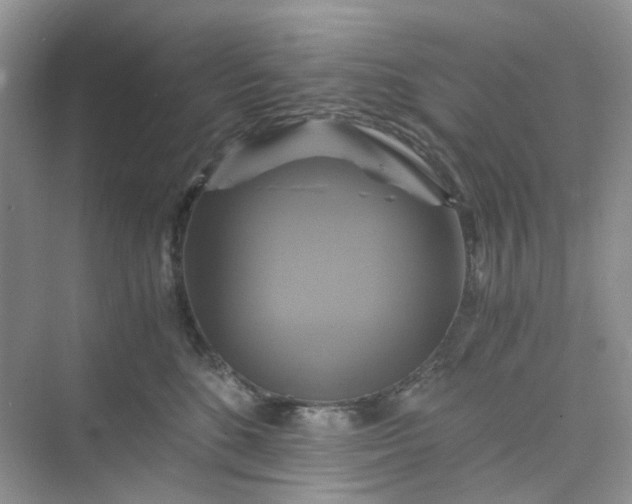 X0000075860520200609291551