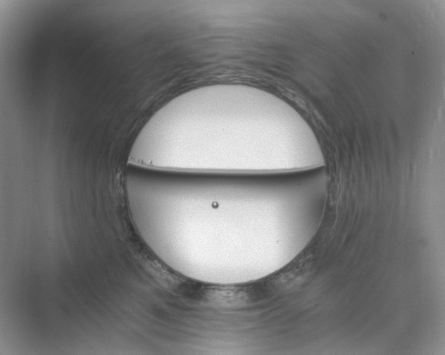 X0000075860521200609291551