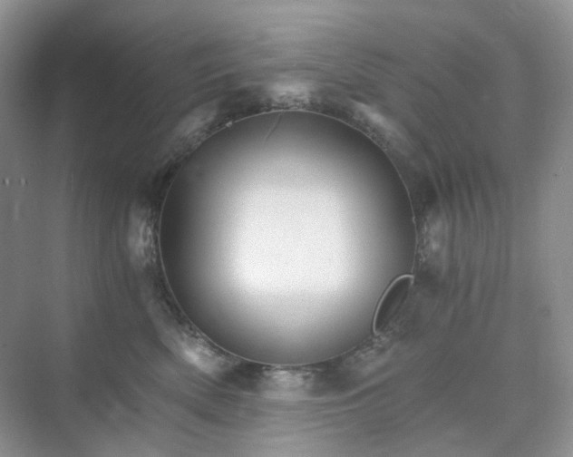 X0000075860522200609291551