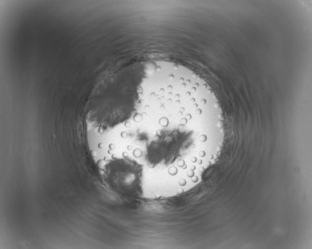 X0000075860523200609291551