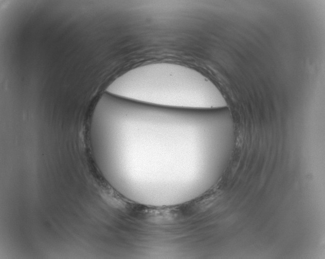 X0000075860524200609291551