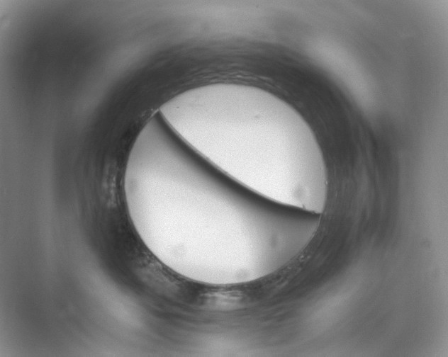 X0000075860525200609291551