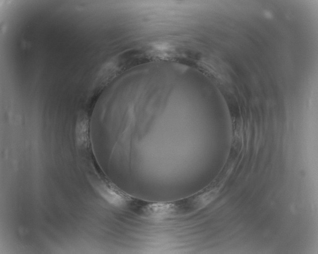 X0000075860526200609291551