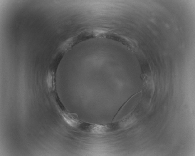 X0000075860527200609291551