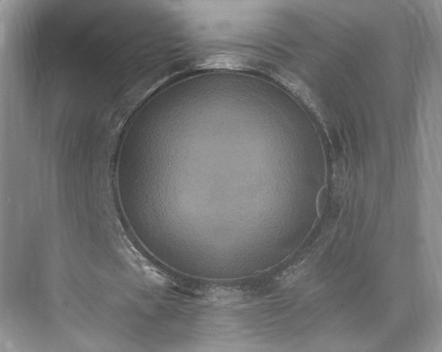 X0000075860529200609291550