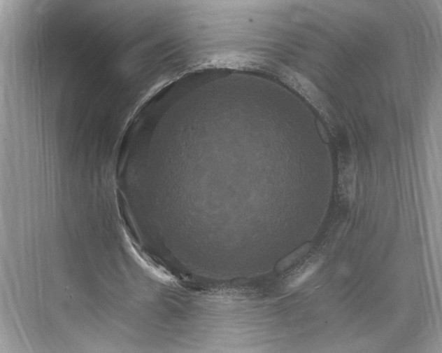 X0000075860530200609291550