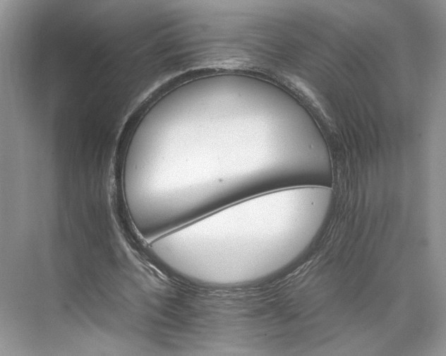 X0000075860532200609291550