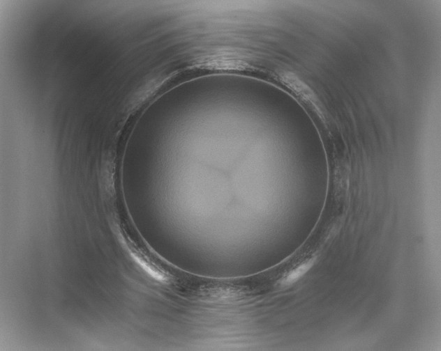 X0000075860533200609291550