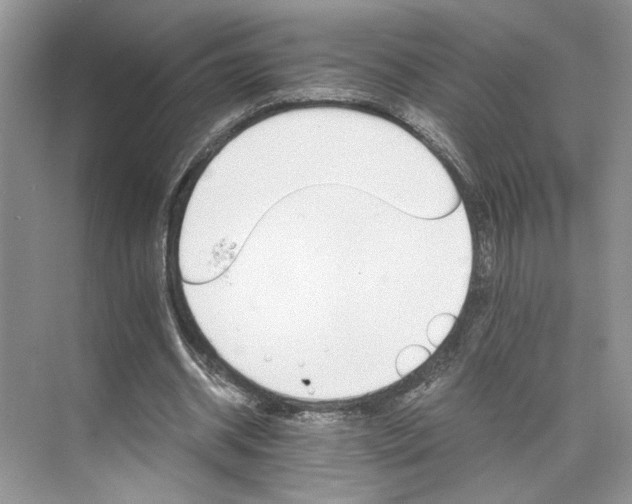 X0000075860534200609291550