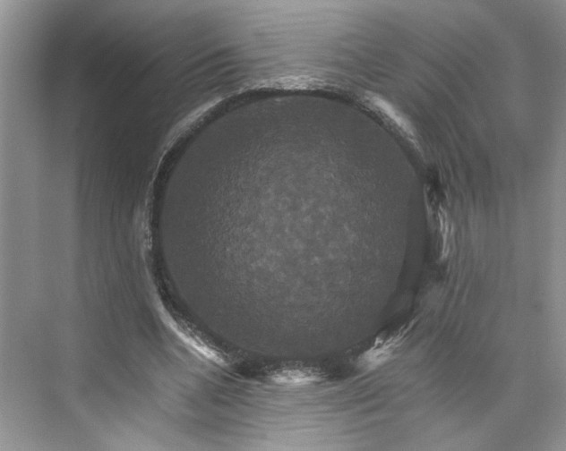 X0000075860536200609291550