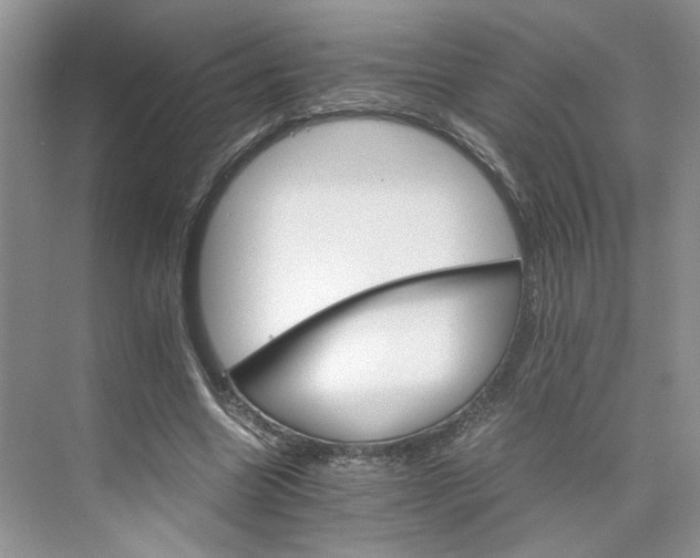 X0000075860538200609291550