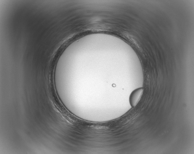 X0000075860539200609291550