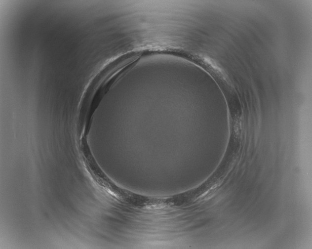 X0000075860540200609291550